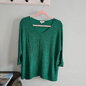 Eesome Green V-Neck Sweater